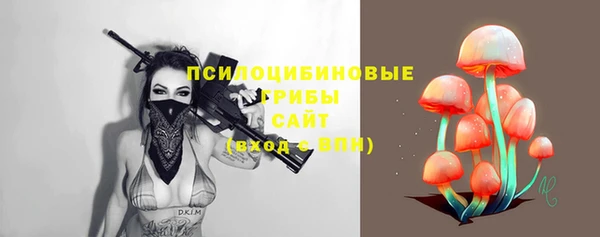 МДМА Богородицк