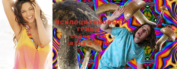 прущая мука Богданович