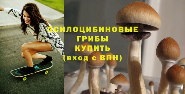 МДМА Богородицк