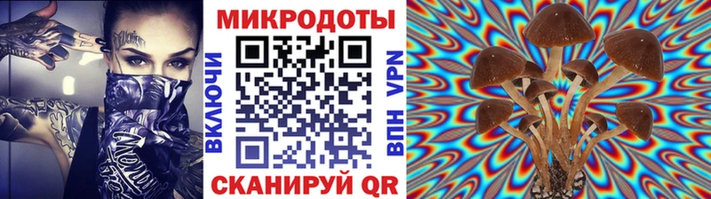 Купить закладки  Оханск  Галлюциногенные грибы GOLDEN TEACHER 